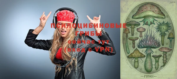 круглые Алексеевка