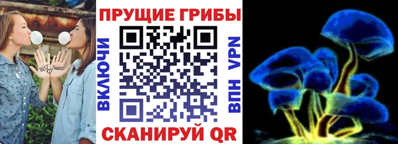 Псилоцибиновые грибы мицелий  Мирный 