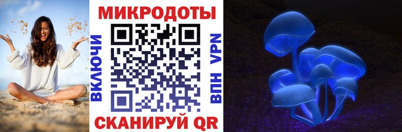 Псилоцибиновые грибы Psilocybe Мирный