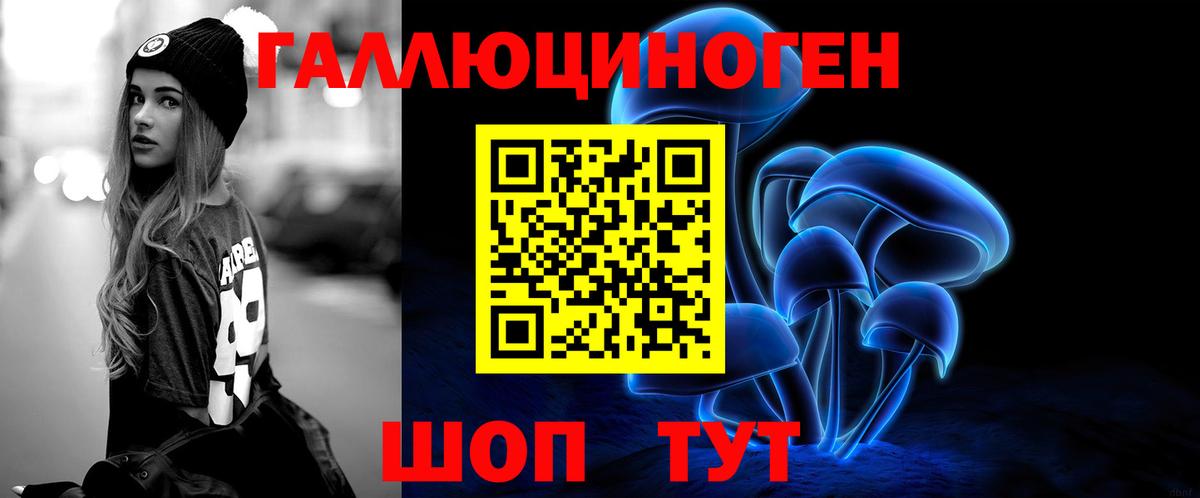 Мирный  Псилоцибиновые грибы GOLDEN TEACHER  где найти наркотики  Вход с VPN 